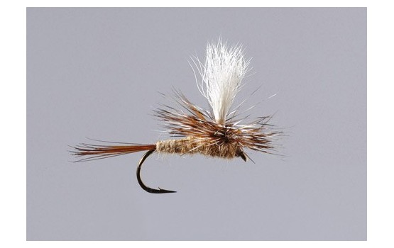 March Brown Parachute