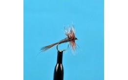 Midge Dry Adams