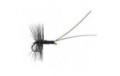 Midge Pupa Black