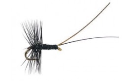Midge Pupa Black