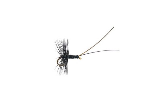 Midge Pupa Black