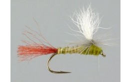 Moores Para Shuck BWO