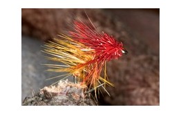 Muddled UV Snatcher AA