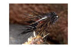 Muddled UV Snatcher Bibio