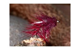 Muddled UV Snatcher Cla