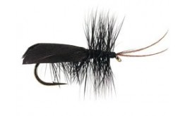 Black Horned Roofing