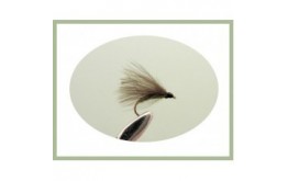 Olive CDC F Fly