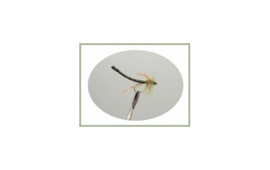 Olive Dragon Fly