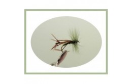 Olive Hackled Hopper