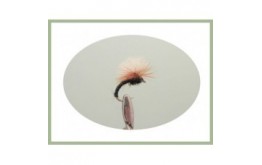 Black Klinkhammer Brown Hackled