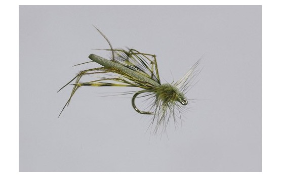 Olive Variant Daddy Long Legs