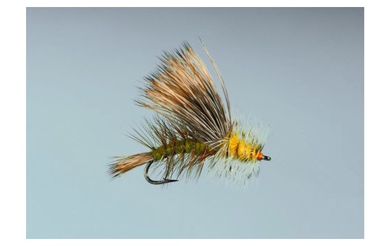 Olive Yellow Stimulator