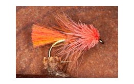 OrkneyCoralBumbleMuddler