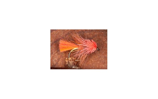 OrkneyCoralBumbleMuddler