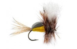 Oswalds Fumpy Yellow