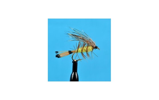 Palmered Caddis Green