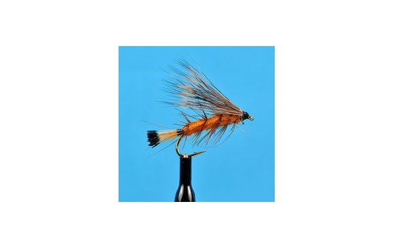 Palmered Caddis Orange