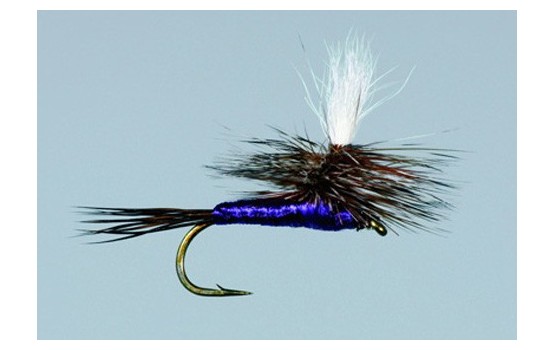 Adams Parachute   Purple