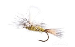 Parachute Hares Ear Olive