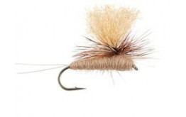 Parachute March Brown