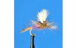 Parachute Purple Wulff