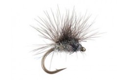 Paraloop Dark Hendrickson