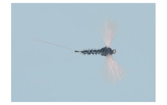 Black Sparkle Wing Spinner