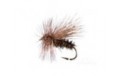 Peacock Caddis