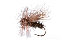 Peacock Caddis