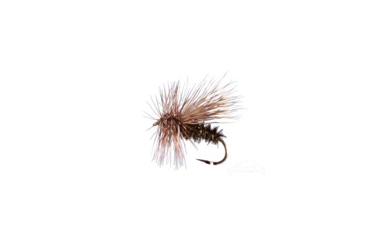 Peacock Caddis