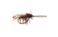 Peters Realistic Brown Caddis