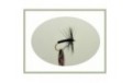 Black Spider Dry Fly