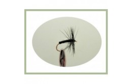 Black Spider Dry Fly