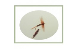 Pheasant Tail Dry