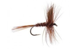 Pheasant Tail Winged