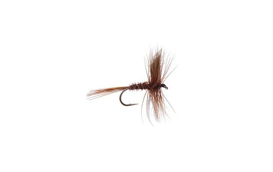 Pheasant Tail Winged