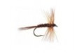 Pheasant Tail