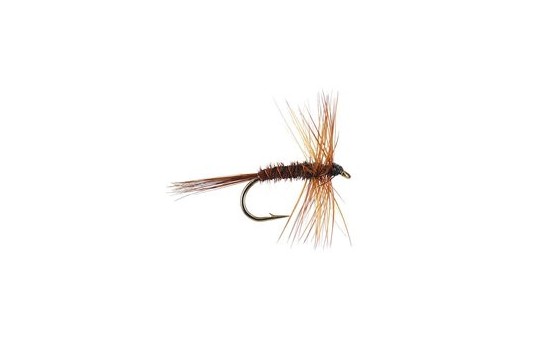 Pheasant Tail