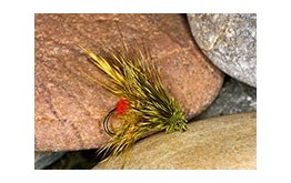 Picric RA Peter Muddler