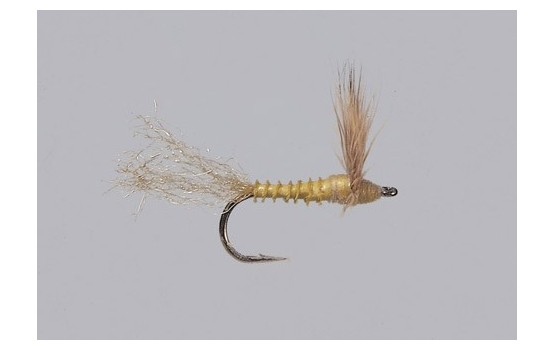 PMD Sparkle Dun Biot