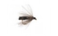 Black Stocking Wings Caddis