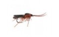 Realistic Brown Caddis