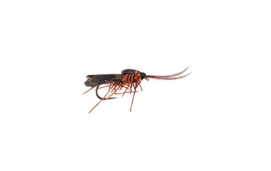 Realistic Brown Caddis