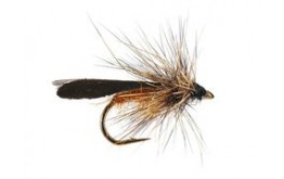 Realistic Orange Body Sedge