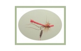 Red Foam Daddy Long Legs