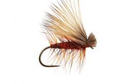 Red Superb Elk Hair Caddis