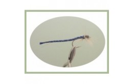 Royal Blue Dragon Fly