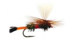 Royal Coachman Parachute Superb