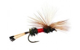 Royal Coachman Parachute