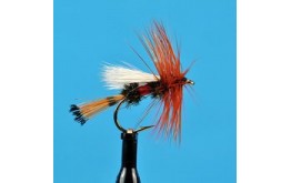 Royal Coachman Trude